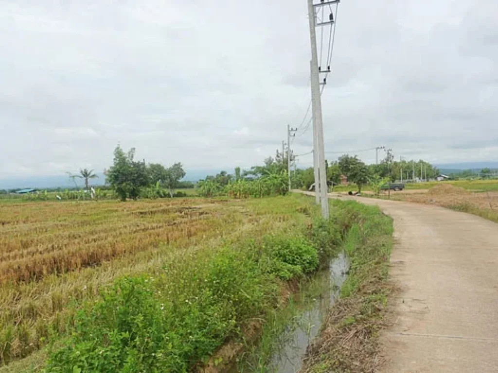 ขายที่ดิน ตำบลแม่แฝก อำเภอสันทราย จังหวัดเชียงใหม่ ติดถนนคอนกรีต