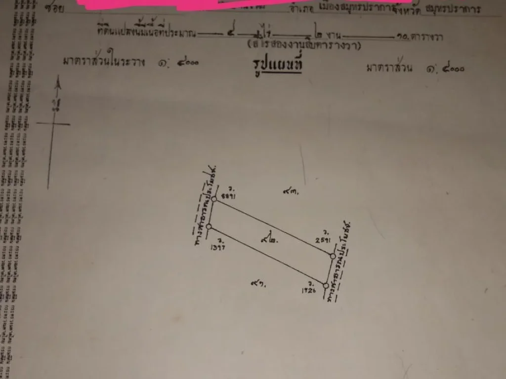 ขายที่โฉนดแปลงสวยติดถนนลาดยาง สวนปาล์ม4ไร่2งาน