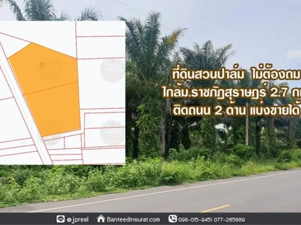 ขาย ที่ดิน 16ไร่เศษ กว้าง200เมตร ลึก152เมตร ใกล้แยกท่าสน ถนนทุ่งใหญ่ สุราษฎร์ธานี เหมาะทำแบ่งล็อคขาย