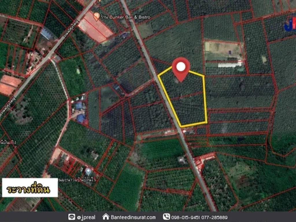 ขาย ที่ดิน 16ไร่เศษ กว้าง200เมตร ลึก152เมตร ใกล้แยกท่าสน ถนนทุ่งใหญ่ สุราษฎร์ธานี เหมาะทำแบ่งล็อคขาย