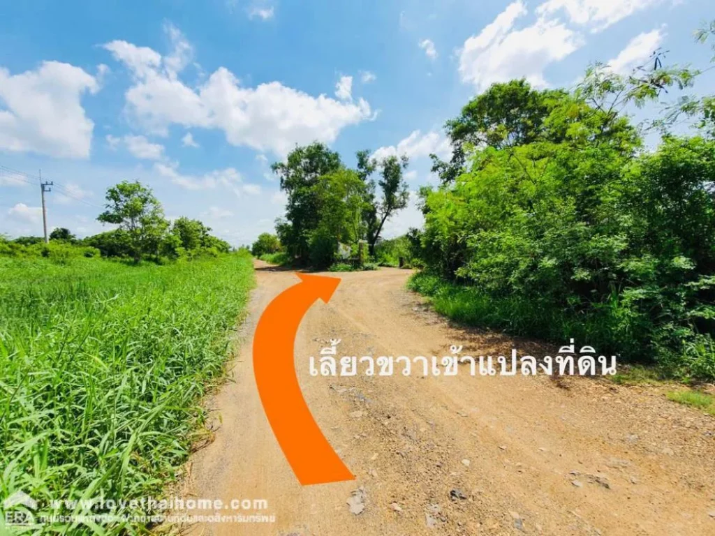 ขายที่ดินคลองสี่ตะวันตก ปทุมธานี เพียง7800บาทตรว ขายถูกที่สุดในคลองสี่