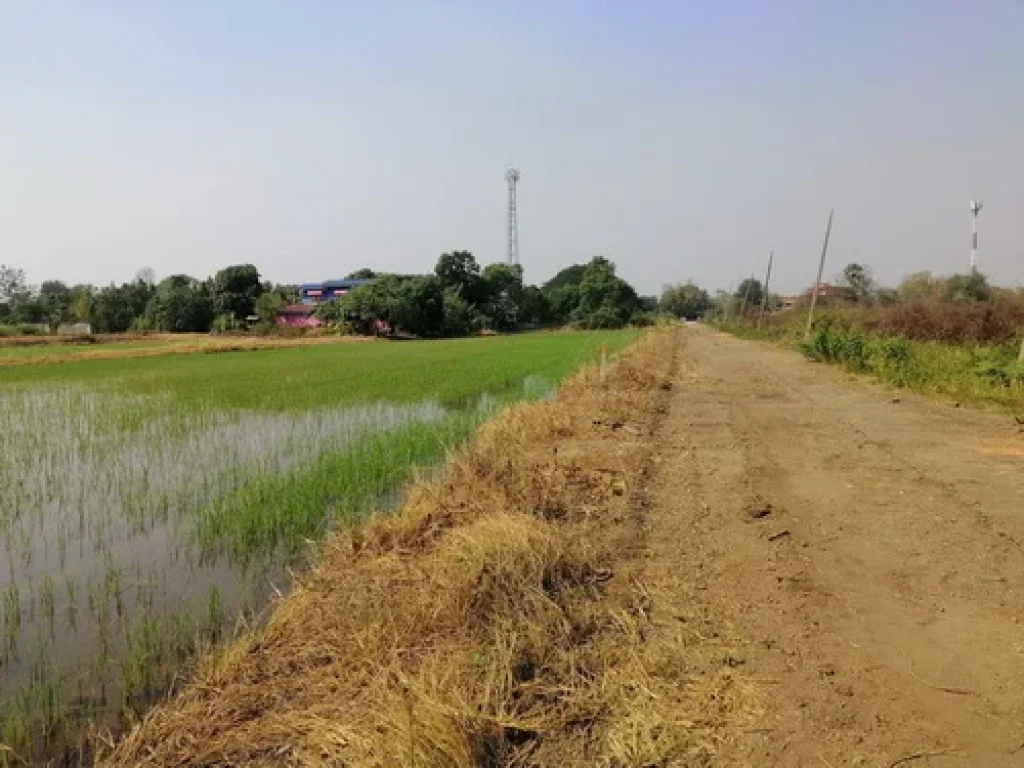 ขายที่ดินเปล่า 200 ตรว คลอง 11 ตบึงน้ำรักษ์ อธัญบุรี จปทุมธานี