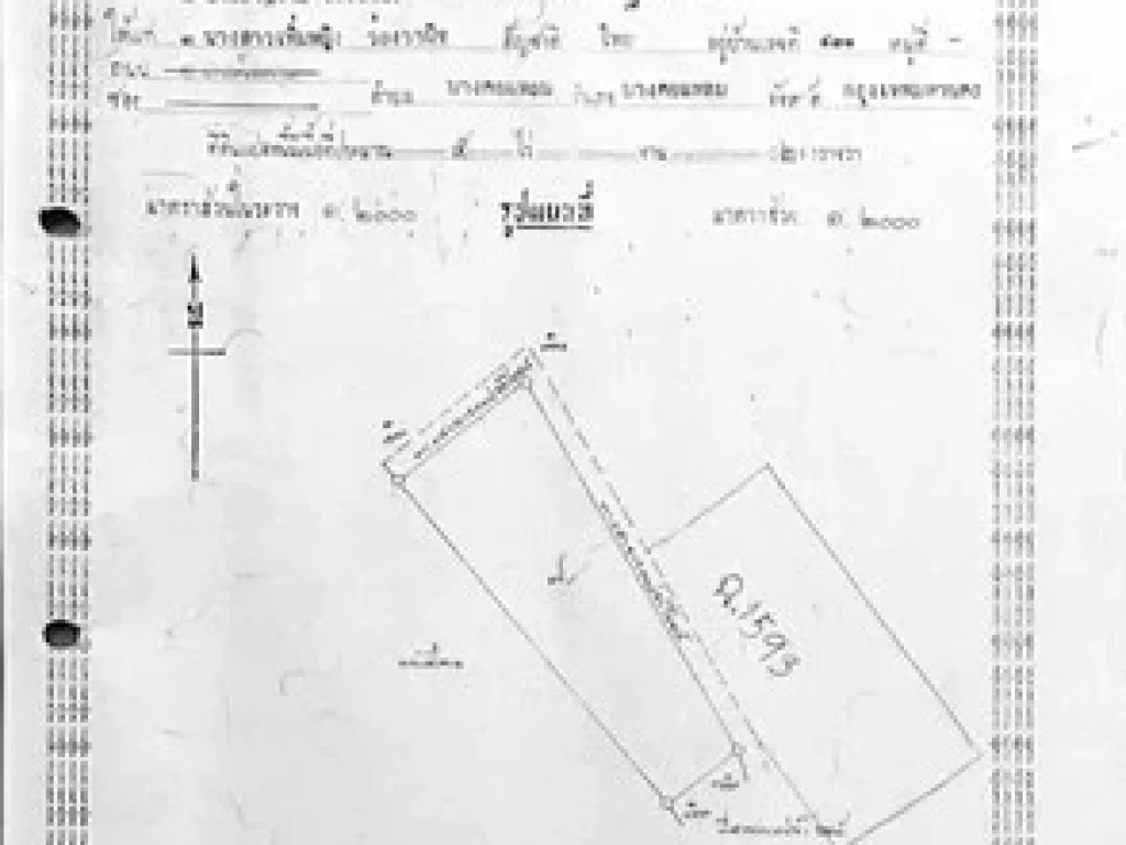 ที่ดิน ติดทะเล ตราด 10ไร่ 9-3-44ไร่ ที่ดินเหมาะทำ รีสอร์ท หมู่บ้านจัดสรร