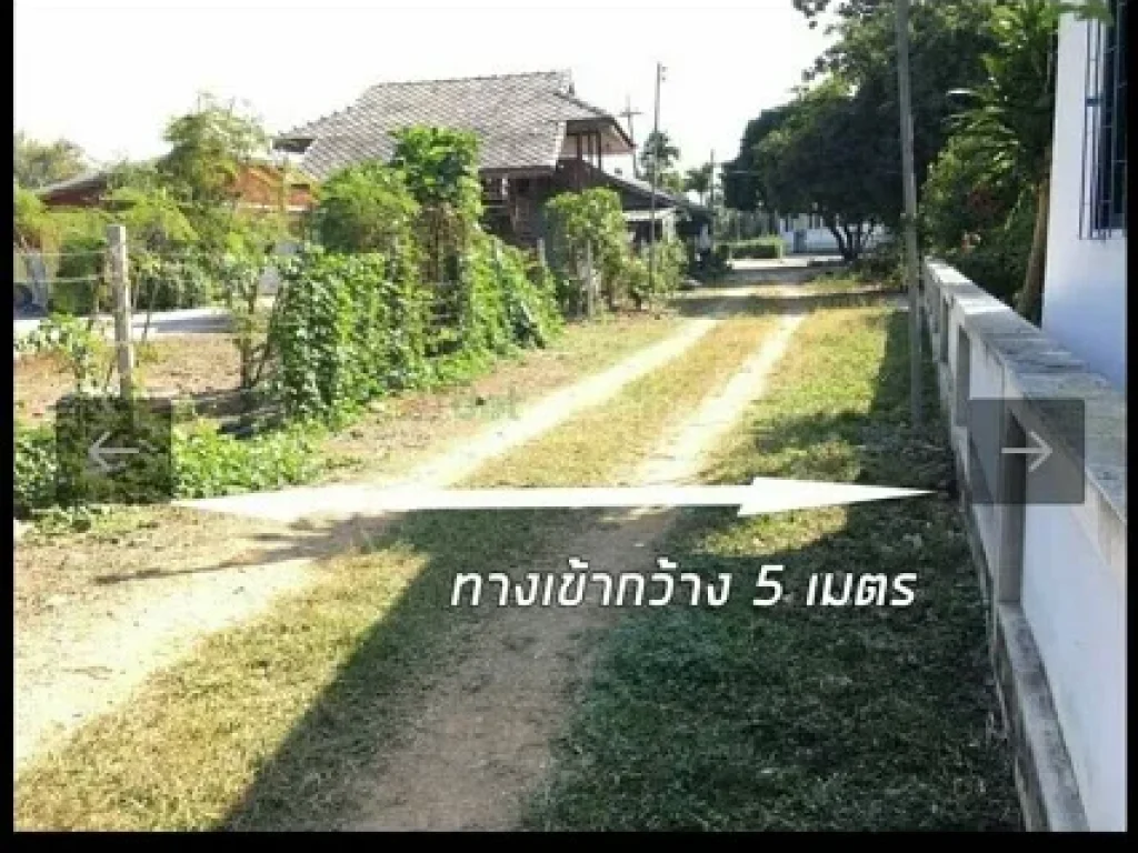 ขายที่ดินแปลงสวย พร้อมต้นลำใย 200 ต้น บ้าน 1 หลังในสวน เชียงใหม่ เจ้าของขายเอง