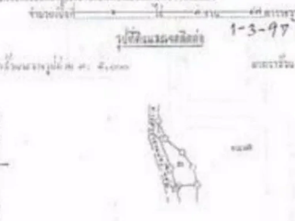 ขายที่ดินบนเกาะช้าง 8-1-44 ไร่ ติดทะเลส่วนตัวกว้าง 150 ม ยังมีที่ว่างด้านหลังอีก 30 กว่าไร่