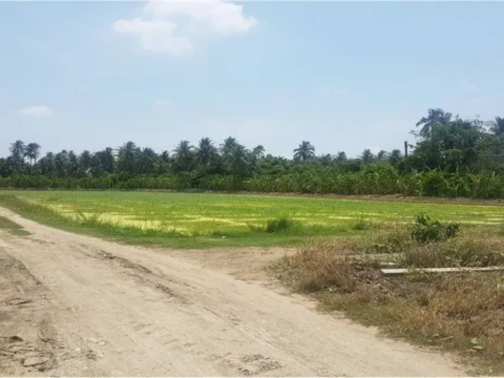 ขายที่ดินพร้อมสิ่งปลูกสร้าง ตำบลหอมเกร็ด อำเภอสามพรานตลาดใหม่ จังหวัดนครปฐม