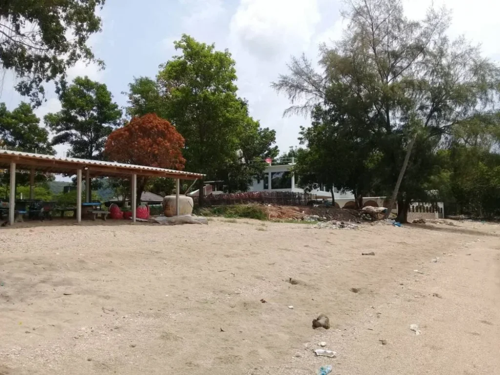 ขายที่ดินติดทะเลหาดเจ้าหลาว หาดส่วนตัว