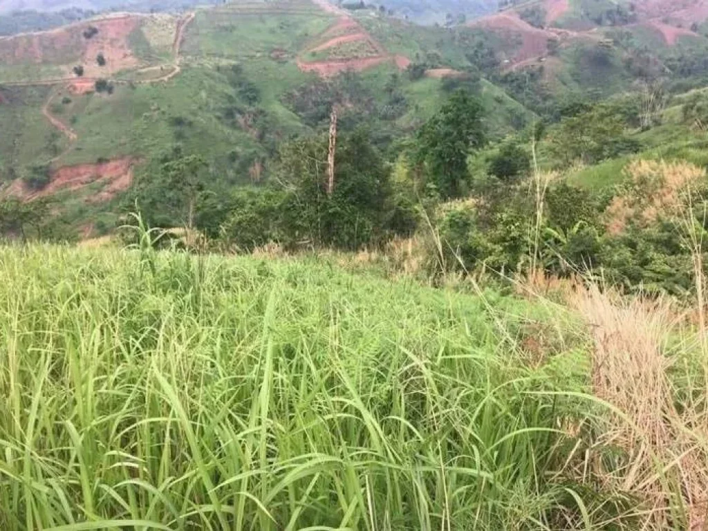 ที่ดินใกล้แหล่งท่องเที่ยว ทำเลดี ตทุ่งสมอ อเขาค้อ จเพชรบูรณ์