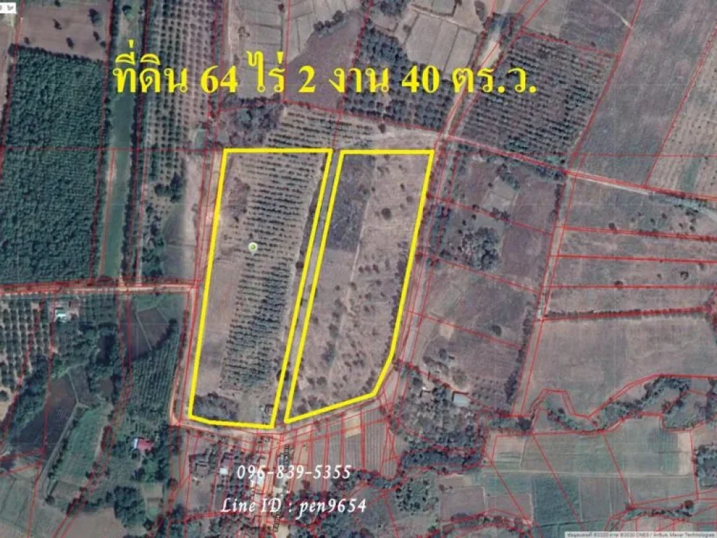 ขายที่ดิน 64 ไร่ จังหวัดเพชรบูรณ์