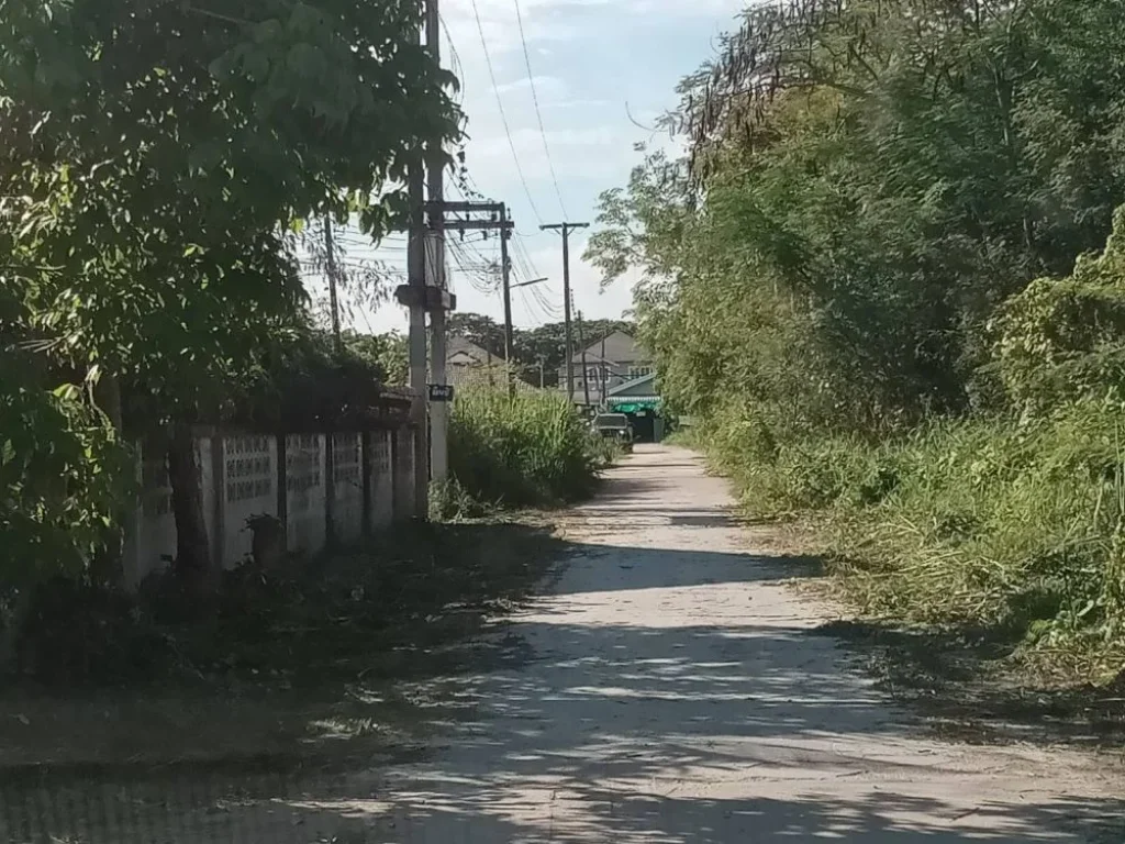 ขายที่ดินบ้านมอญ เรือนแพ 1 เข้าไม่ลึก ราคาถูก