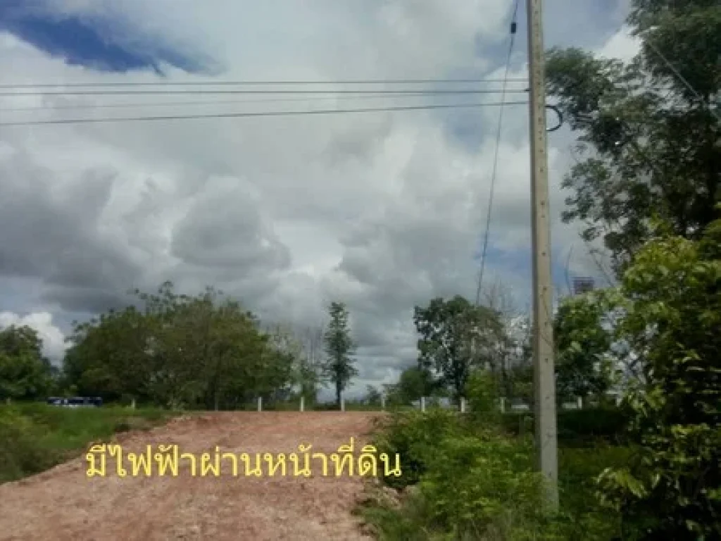 ขายที่ดิน จหนองบัวลำภู ที่ดินเนื้อที่ 11 ไร่ 3 งาน ที่สวยทำเลดี