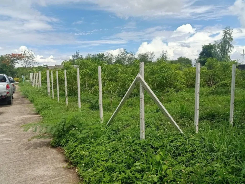 ขายที่ดินสันกลาง สันป่าตอง ติดถนนสองด้าน ราคาถูก