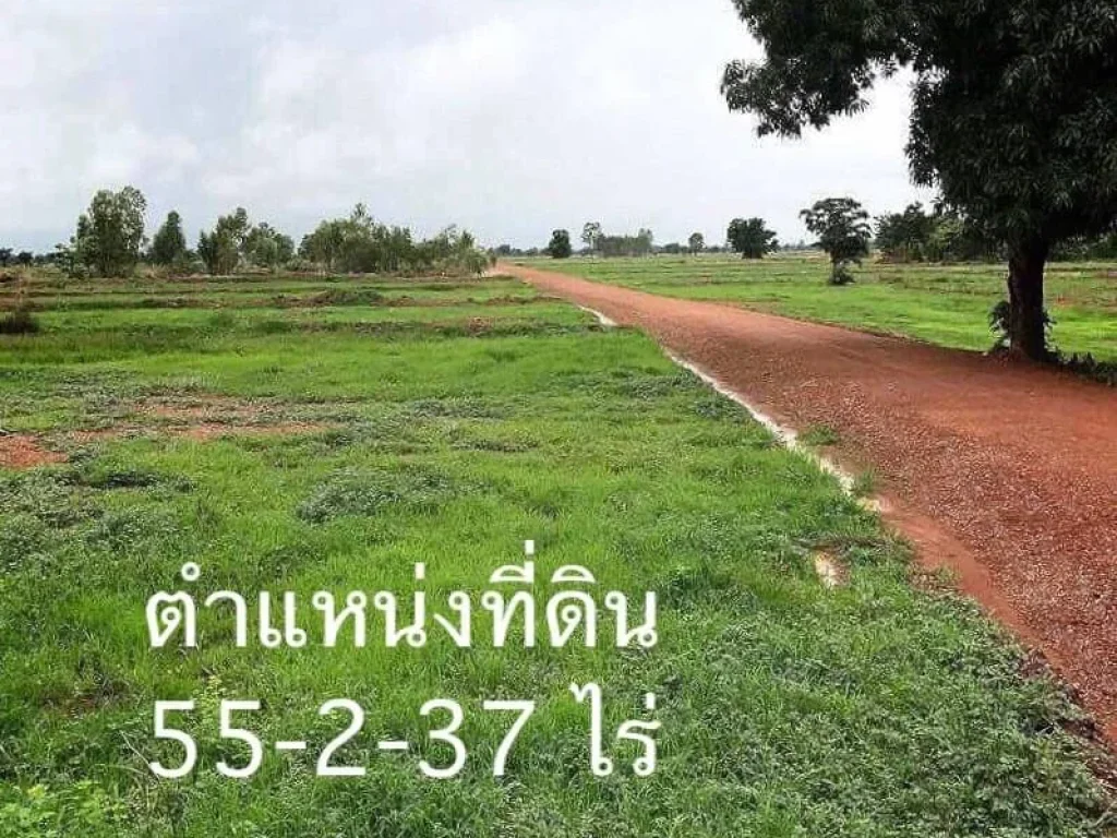 ขายด่วน ที่ดินติดถนนทางหลวงหมายเลข 2275