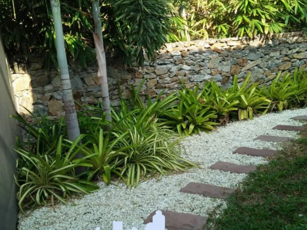 ขายบ้านเดี่ยว หนองปลาไหล พัทยาเหนือ Single House with Private Pool Nong Plalai North Pattaya