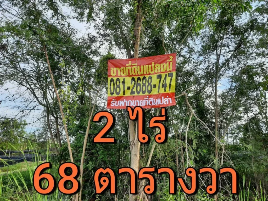 ขายที่ดินถนนบางบัวทอง-สุพรรณบุรี 2 ไร่ 68 ตารางวา ตำบลไทรใหญ่ อำเภอไทรน้อย จังหวัดนนทบุรี