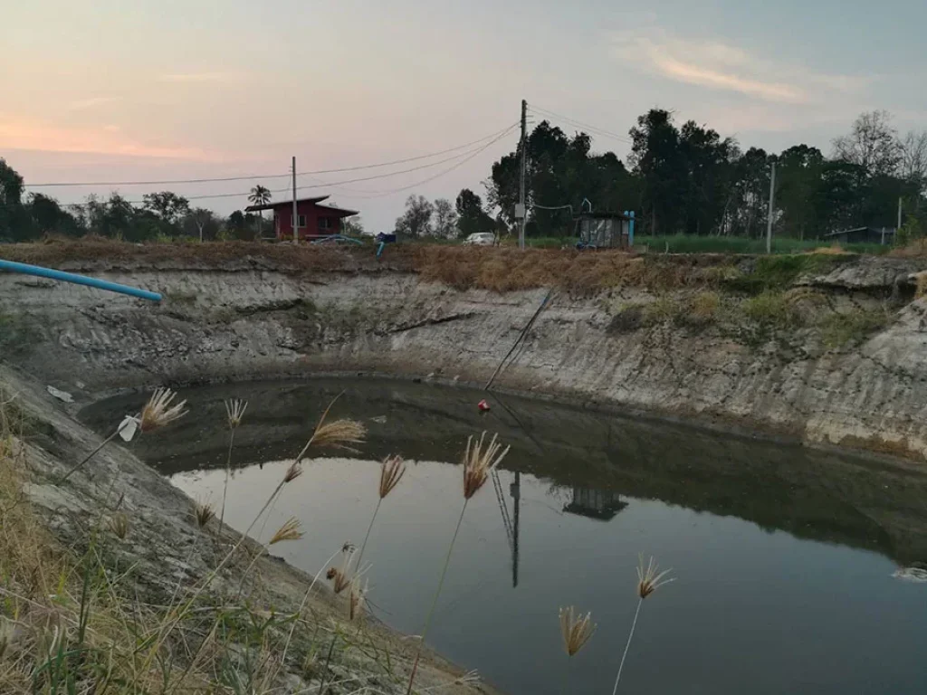 ขายที่ดิน 10ไร่ พร้อมบ้านสร้างใหม่ 1 หลัง มีเลขที่บ้านแล้ว อำเภอหนองมะโมง จังหวัดชัยนาท