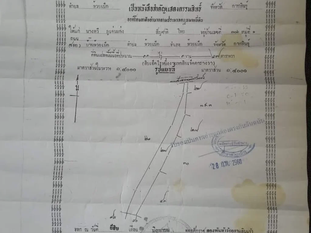 ขายที่ดิน11ไร่ขายยอแปลง