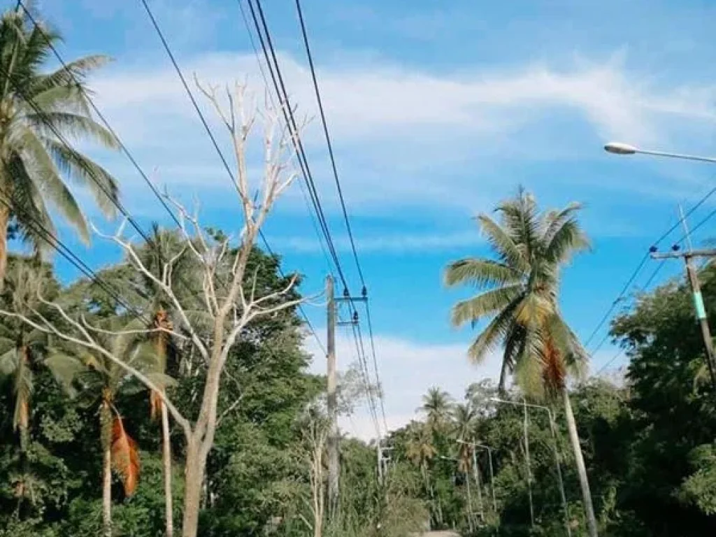 ขายที่ดินเกาะกูดราคาถูก อเกาะกูด จตราด ติดเส้นถนนกาญจนา เส้นหลักไปทางที่ว่าการอำเภอ