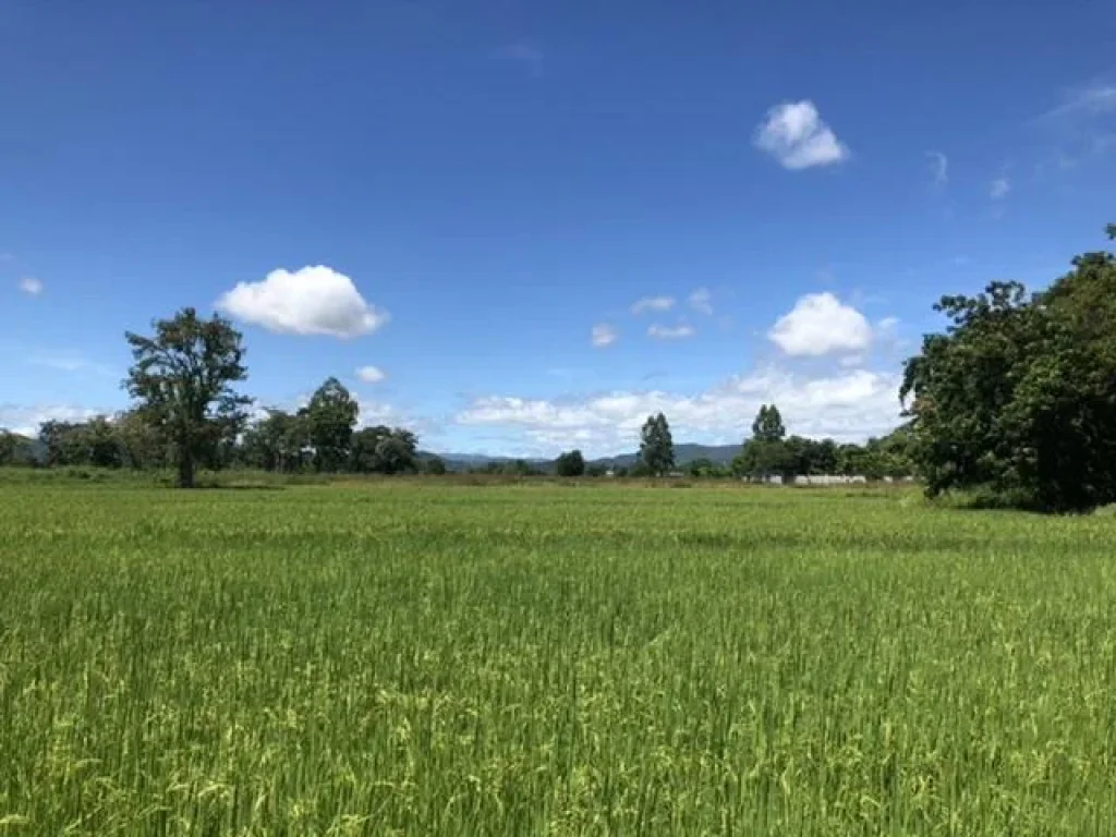 ขายที่ดินโฉนด 6ไร่ วิวเขาอีโก้180องศา ปี65ถนนมอเตอร์เวย์สายแก่งกระจานตัดผ่าน มีไฟฟ้าน้ำประปา อปากท่อ จราชบุรี