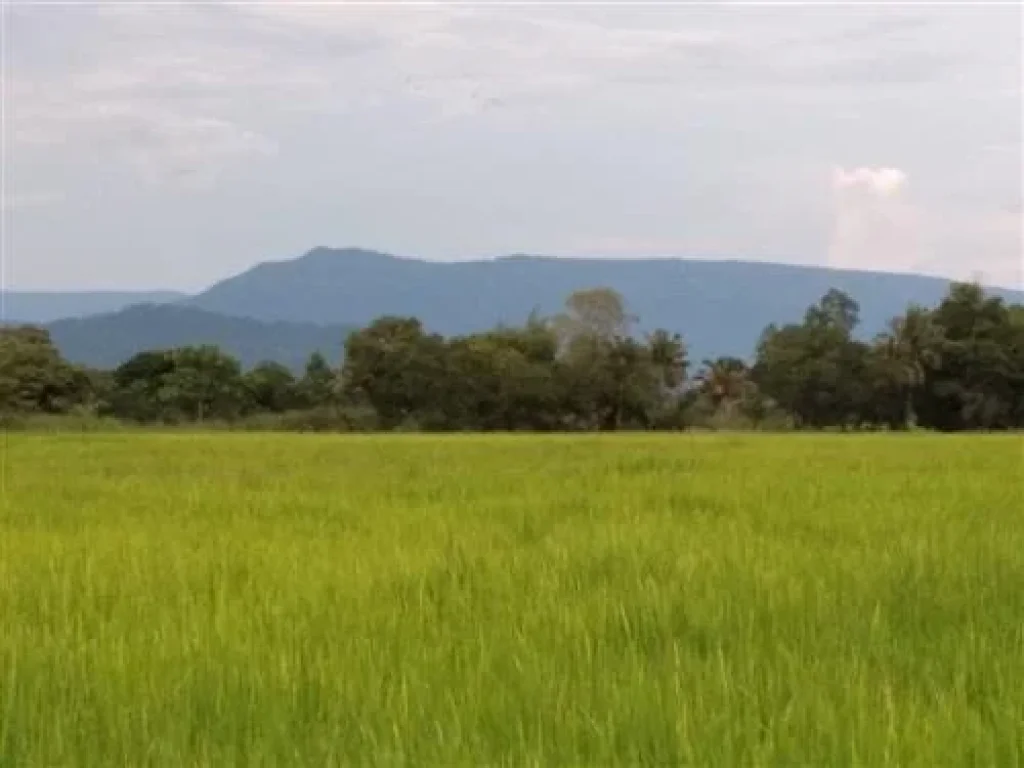 ที่ดิน ติดคลองชลประทาน วิวเขา ไกล้ สุวรรณศร