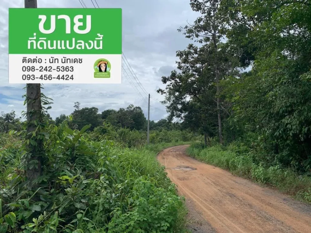 ที่ดินบ้านหนองตอแก้ว