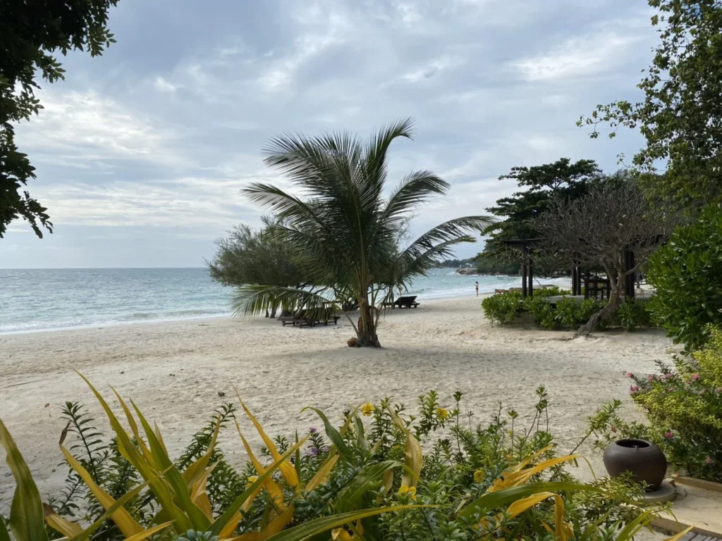 ขายที่ดินริมทะเล แหลมแม่พิมพ์ เดินข้ามถนนลงชายหาดเลย ใกล้ซีวิวคอนโดมิเนียม โฉนด 25 ไร่