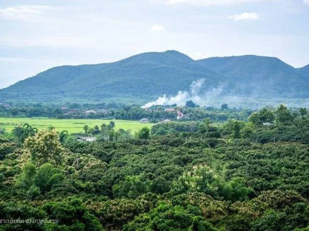 ที่ดินในกอดดอยเขาดินฟ้า โฉนด 5 ไร่ พาโนรามาสุดสายตาวิวทุ่งนาและขุนเขา ใกล้สถานที่ท่องเที่ยว