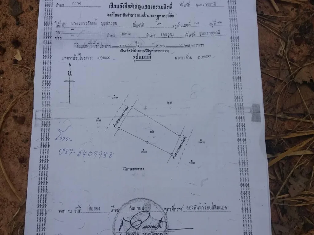 ด่วน เจ้าของขายเอง ด่วนมาก ราคาต่อรองได้ ที่ดิน 11 ไร่ จังหวัดอุบล เดชอุดม