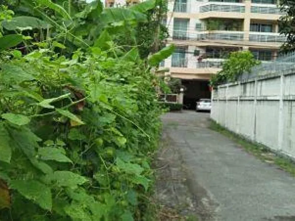 LAND 404 SQM CLOSED ROAD IN THE SOI SUKHUMVIT 71 closed road in the soi the tree covered suitable for small projects