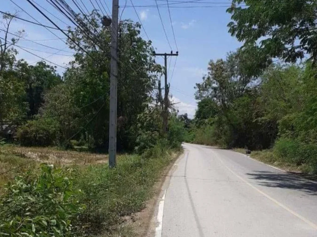 ขายที่ดินสันกำแพง พื้นที่สีเหลือง ห่างถนนซุปเปอร์เพียง 1km