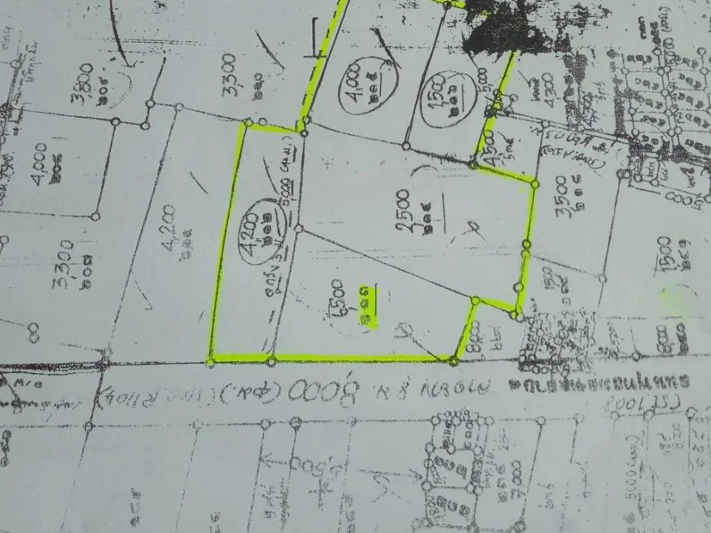 Land for sale 50 rai 318 sq m Green space Width 213 m Phutthamonthon Sai 8 Road Khun Kaew Subdistrict Nakhon Chai S