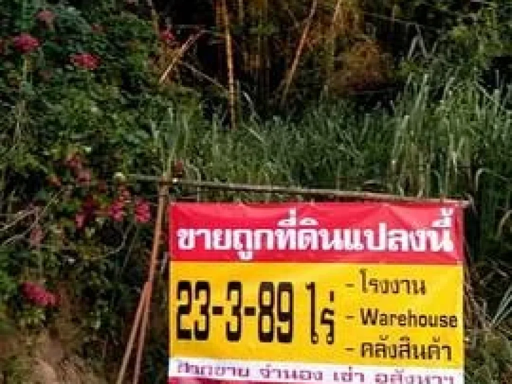 ขายถูกที่ดินทำเลทอง ติดถนนใหญ่ 23 ไร่ จระยอง