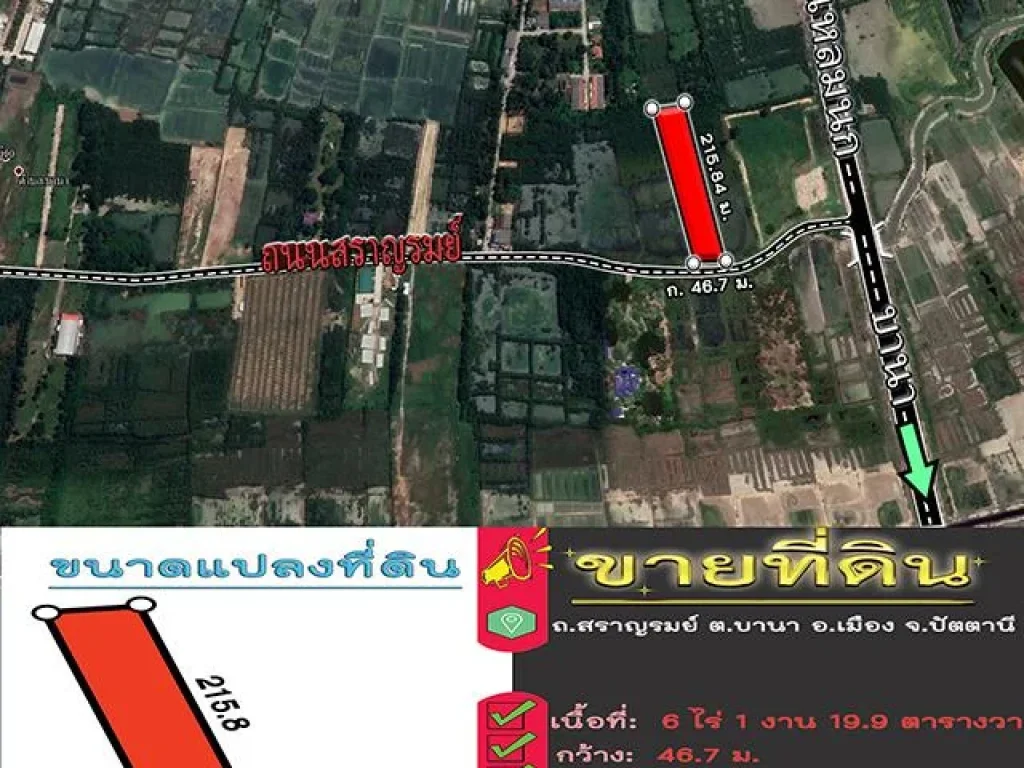 ขายที่ดิน - 6ไร่ ถนนนาเกลือgtซอยปั๊มปตท อเมือง ปัตตานี