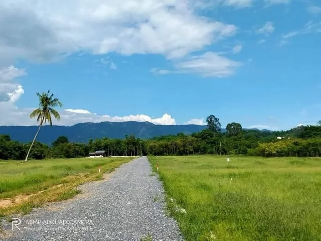 ขายที่ดินวิวเขา ตชะอม อแก่งคอย จสระบุรี