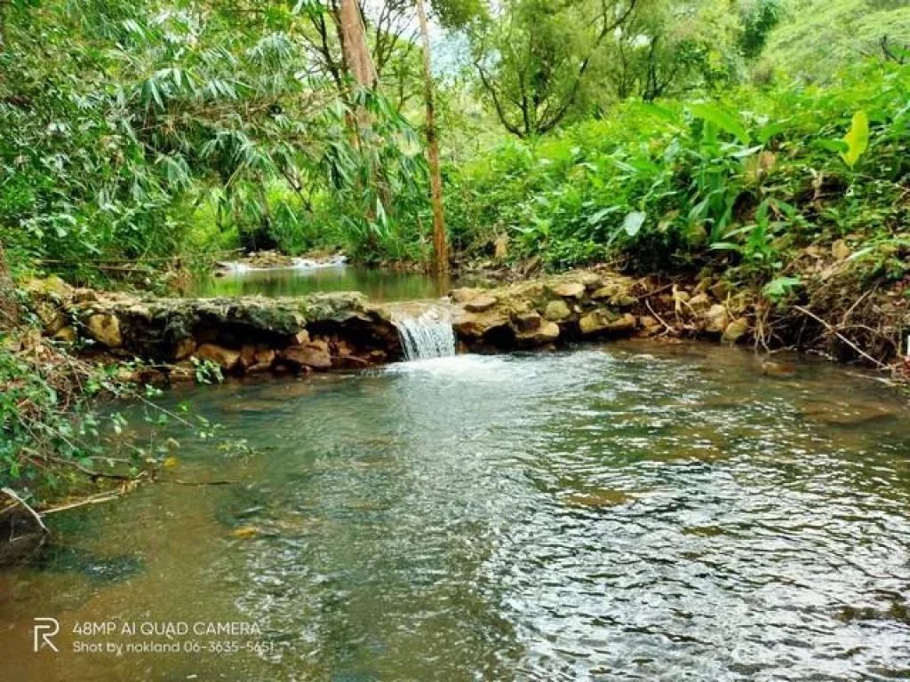 ขายที่ดินติดน้ำ ตเขาพระ อเมือง จนครนายก