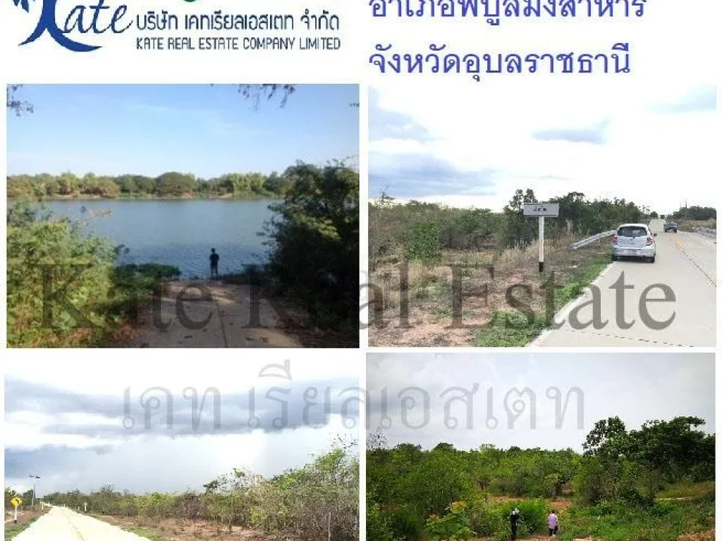 ขายที่ดินสวยอำเภอพิบูลมังสาหาร จังหวัดอุบลราชธานี เจ้าของขายเอง