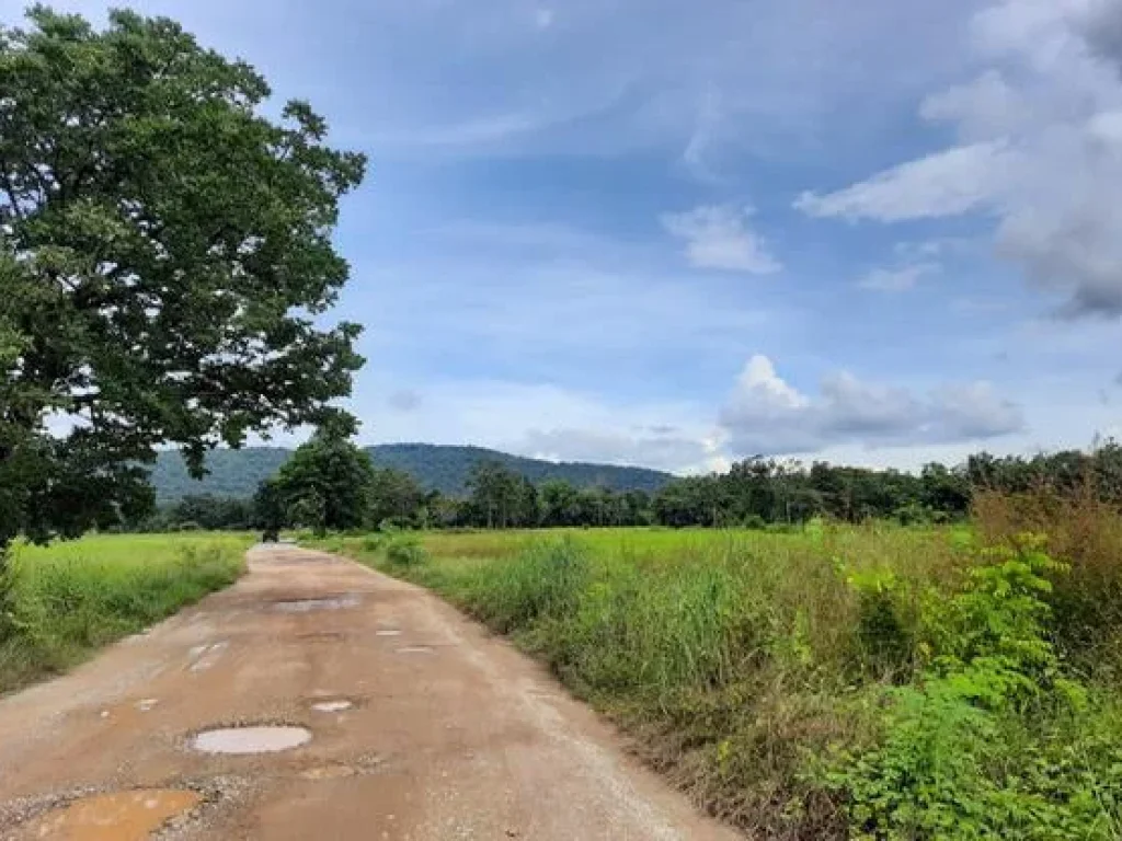 ที่ดิน 5 ไร่ โฉนดติดถนนหน้ากว้าง100เมตรไฟฟ้าประปา อลำสนธิ จลพบุรี