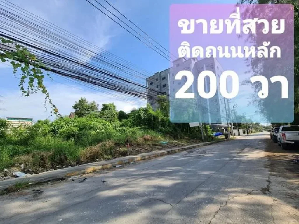 ขายที่ดิน ศรีด่าน 22 หน้ากว้าง 200 วา ติดถนนหลัก