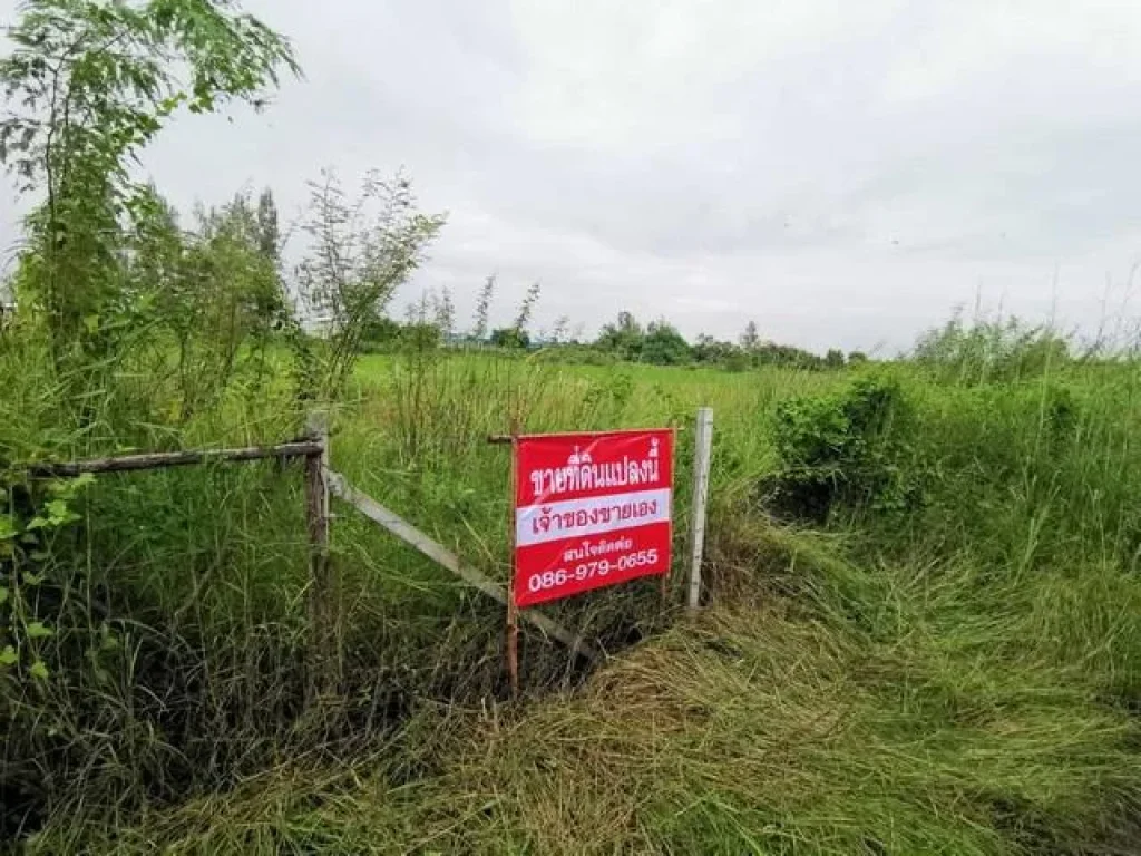 ขายที่ดินนาแปลงสวย 1งาน ถนนธัญบุรี-วังน้อย