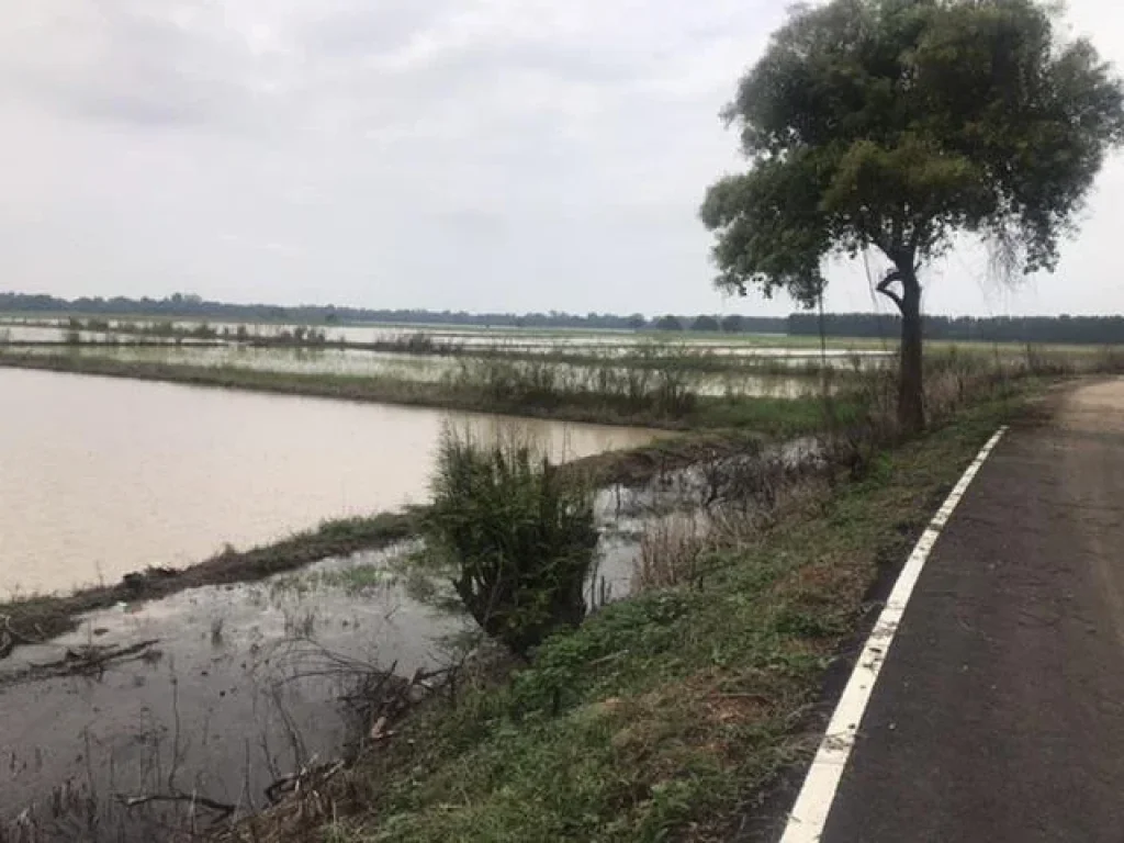 ขายที่ดินติดถนนน้ำไฟและน้ำปาปะแล้ว