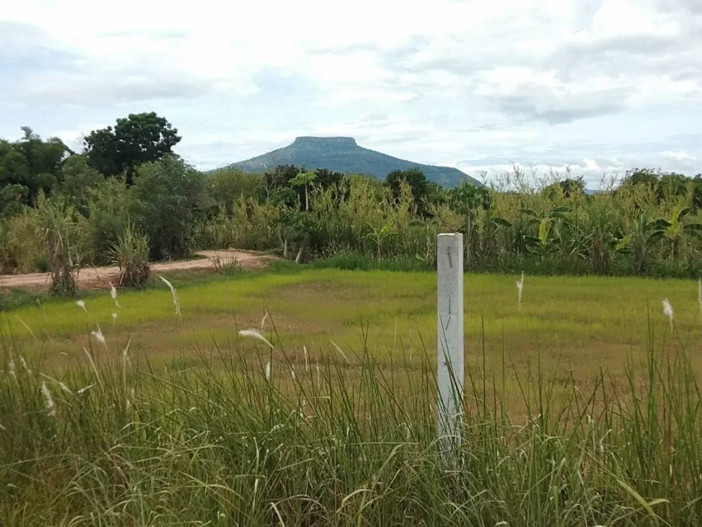 ที่ดินวิวสวยๆ บรรยากาศดีใกล้ฟูจิเมืองเลย โฉนด 6 ไร่ เพียง 15 ล้านบาท