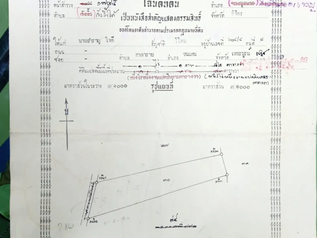 ขายที่ดินในหมู่บ้าน หลังอนามัยวังงิ้ว 1 ไร่ 1 งาน 82 ตรว