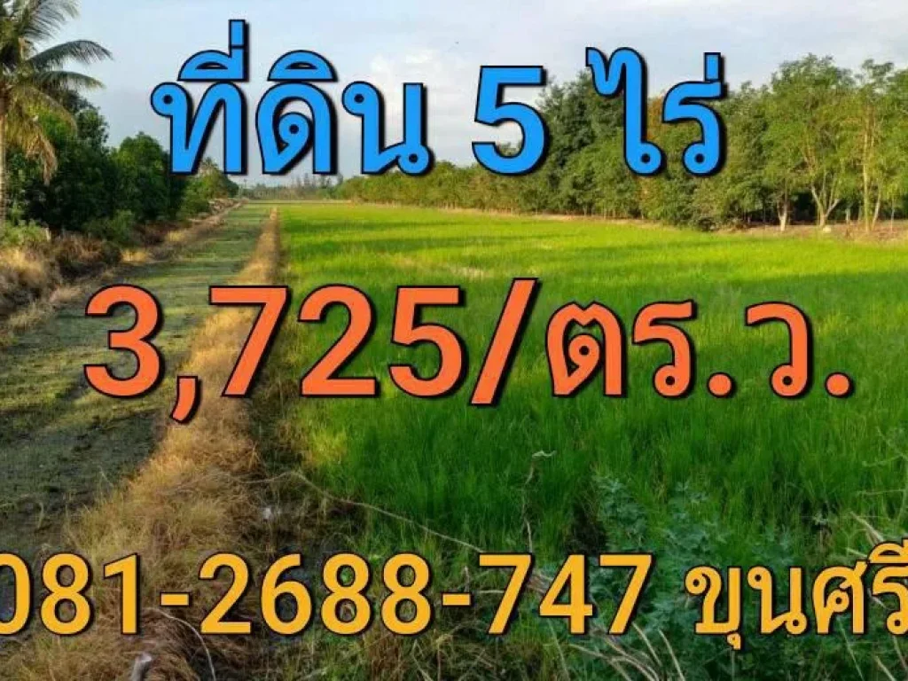 ขายที่ดินราคาถูก 5 ไร่ ซอย เทศบาล 5 อำเภอ ลาดหลุมแก้ว จังหวัด ปทุมธานี