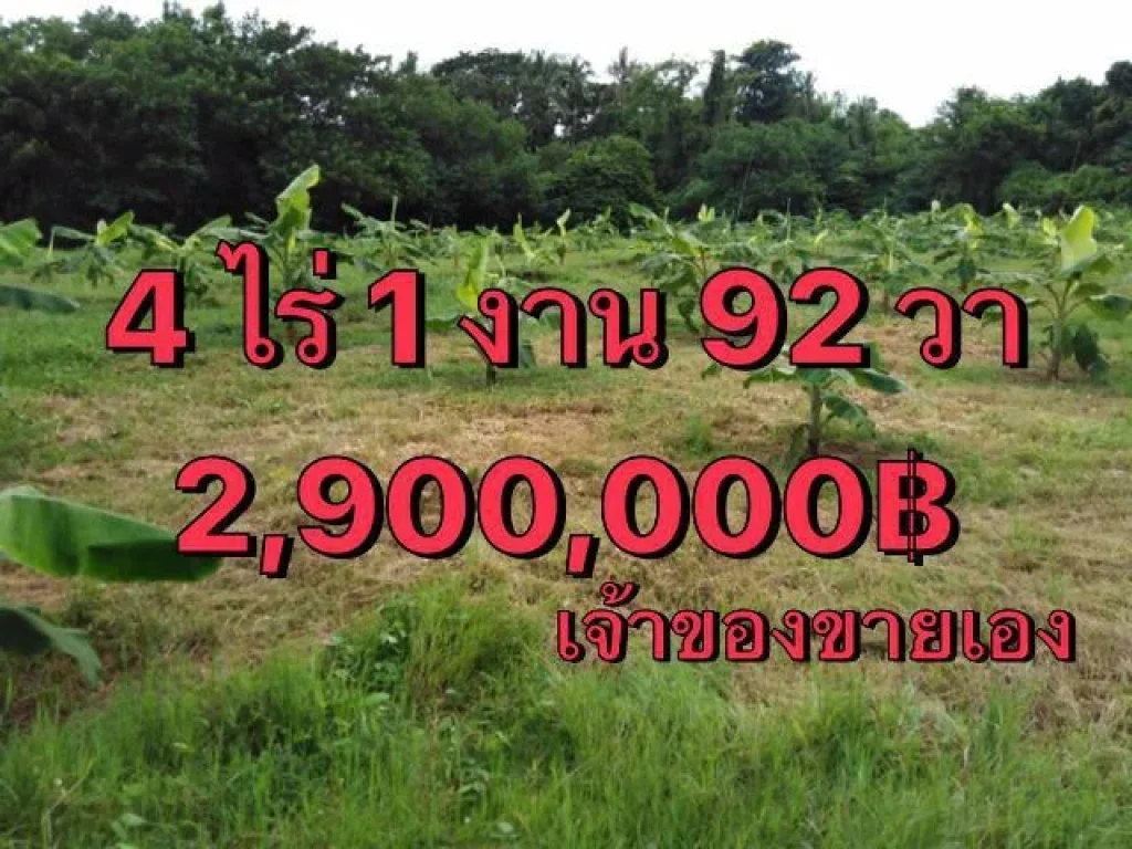 ขายที่ดิน4ไร่กว่าติดคลองชลประทานคลองพังพอนบ้านปะโค หนองคาย