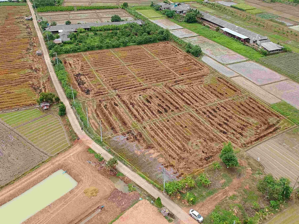 ขายที่ดิน ตำบลแม่แฝก อำเภอสันทราย จังหวัดเชียงใหม่ ติดถนนคอนกรีต