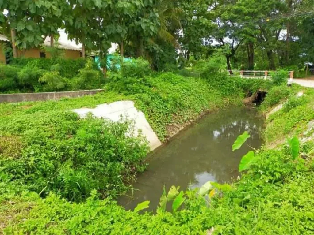 ขายที่ดินดอยสะเก็ต ตลาดขวัญติดถนนสองด้าน