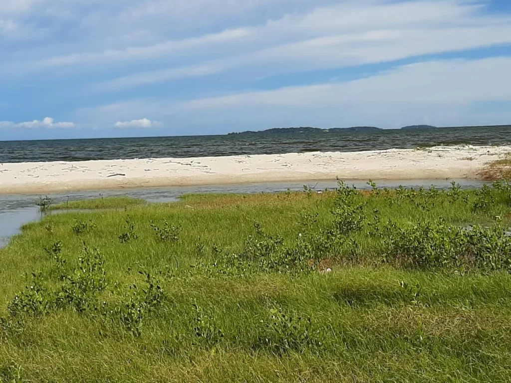 ขายที่ดินติดชายทะเล หาดส่วนตัว 4 ไร่ หาดทรายขาว เล่นน้ำได้