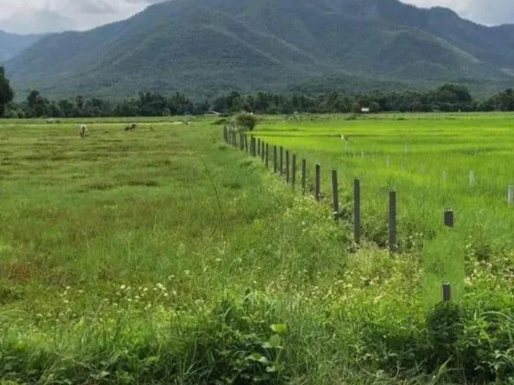 ขายที่ดินวิวดอย ออนใต้ สันกำแพง ติดถนนคอนกรีต