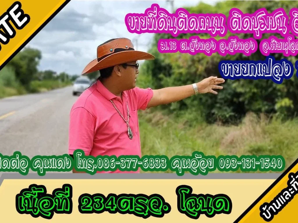 ขายที่ดิน ติดถนนลาดยาง วิวภูเขา เนื้อที่ 234ตรว ม13 ตวังทอง อวังทอง พิษณุโลก ขายยกแปลง 75แสน