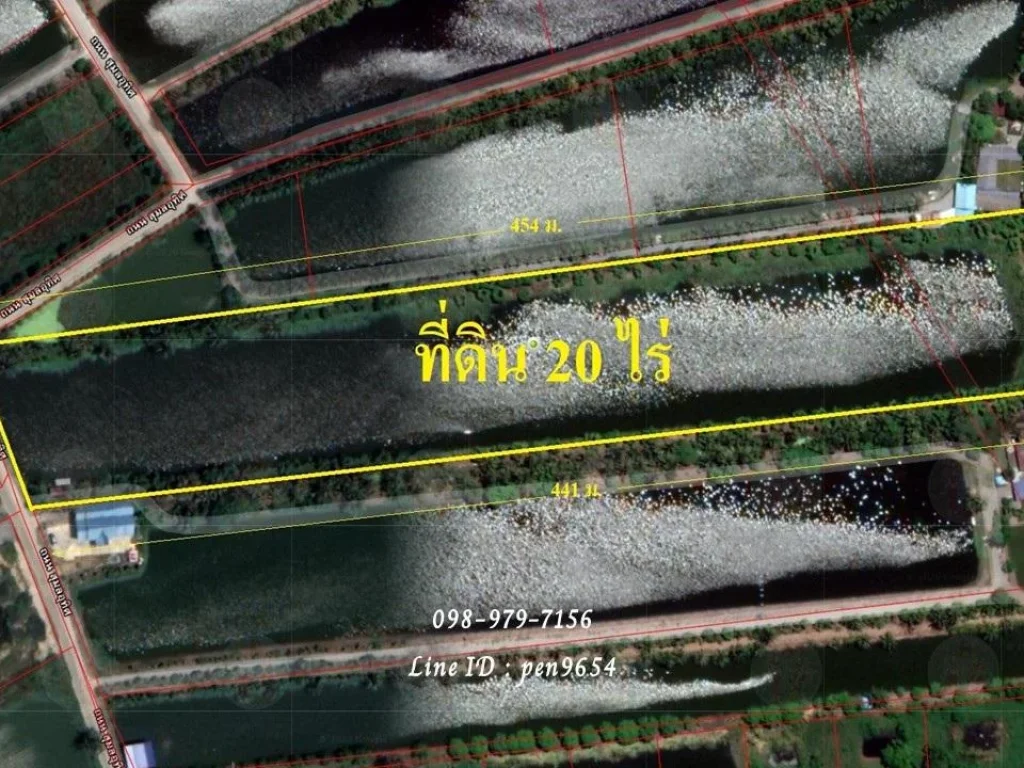 P19 ขายที่ดิน 20 ไร่ ด้านหน้าติดถนน2เลน ด้านหลังติดคลองบางกระเทียม พื้นที่สีเขียว